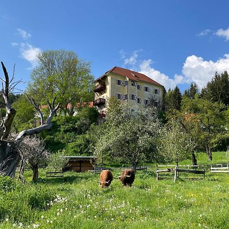 Hotel Landsitz Pichlschloss Neumarkt in Steiermark Bagian luar foto